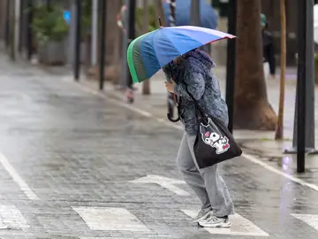 Se prevén lluvias a mitad de semana HUELVA, 13/11/2025.- Una persona se resguarda con un paraguas de la lluvia y el viento este jueves en Huelva cuando la AEMET ha activado el aviso naranja en la provincia onubense ante la previsión de que se registren chubascos localmente fuertes y persistentes, acompañados de tormentas y rachas de viento muy fuertes, una situación que mantiene en aviso amarillo a zonas de Almería, Cádiz, Córdoba, Granada, Huelva y Sevilla. EFE/Alberto Díaz