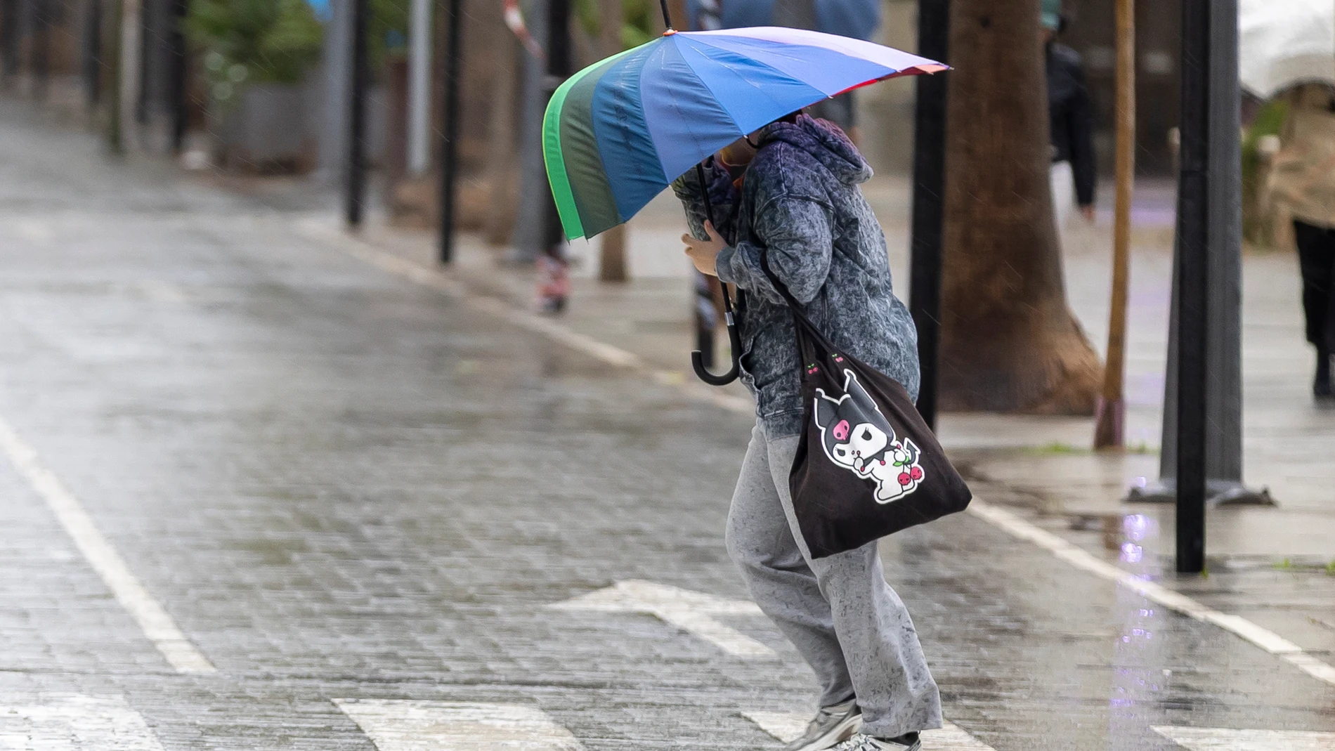 HUELVA, 13/11/2025.- Una persona se resguarda con un paraguas de la lluvia y el viento este jueves en Huelva cuando la AEMET ha activado el aviso naranja en la provincia onubense ante la previsión de que se registren chubascos localmente fuertes y persistentes, acompañados de tormentas y rachas de viento muy fuertes, una situación que mantiene en aviso amarillo a zonas de Almería, Cádiz, Córdoba, Granada, Huelva y Sevilla. EFE/Alberto Díaz