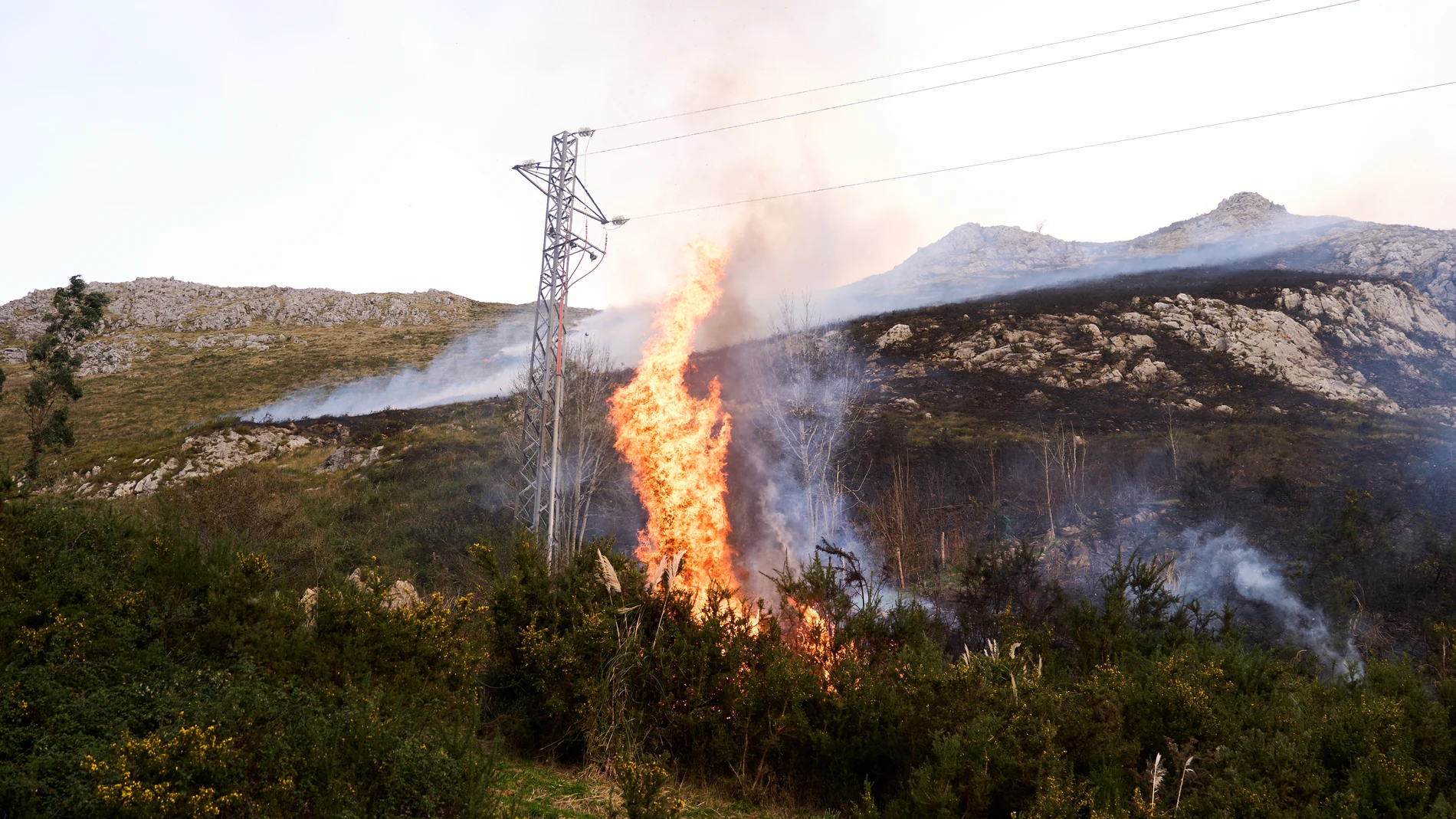 Vista de las llamas ocasionadas por un Incendio forestal en Puente Viesgo, a 13 de noviembre de 2025, en Cantabria (España). Cantabria tiene este jueves seis incendios activos y otros ocho controlados, un total de 14 fuegos de manera simultánea para los que el Gobierno cántabro ha activado todo el operativo para la extinción de incendios forestales en toda la comunidad autónoma. De un total de 20 incendios originados desde el martes en la región, ocho están controlados y otros seis permanecen...