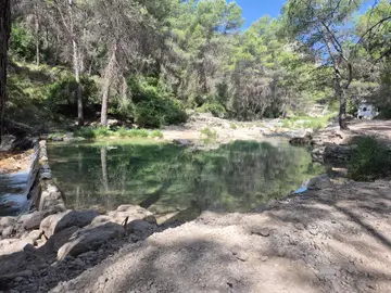 La CHS termina los trabajos de emergencia por la DANA en el río Alhárabe con una inversión de 2,5 millones La CHS termina los trabajos de emergencia por la DANA en el río Alhárabe con una inversión de 2,5 millones