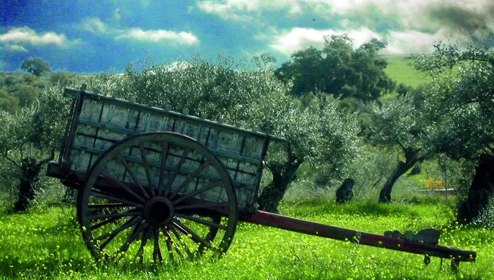 Ruta Vía Dalmacia, Coria