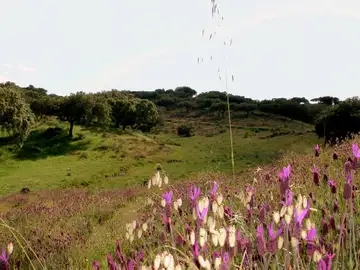Coria en cinco rutas: un viaje por la esencia natural de Extremadura Coria en cinco rutas: un viaje por la esencia natural de Extremadura