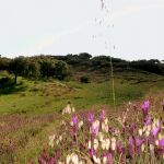 Coria en cinco rutas: un viaje por la esencia natural de Extremadura