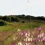 Coria en cinco rutas: un viaje por la esencia natural de Extremadura