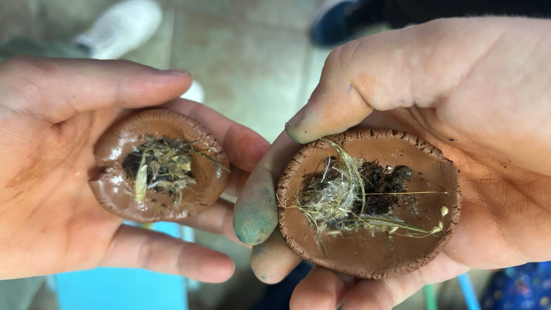 El CEIP Emilia Menéndez de La Robla (León) impulsa un proyecto de reforestación escolar con bombas de semillas