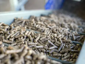 Producción de pellets en Castilla y León Producción de pellets en Castilla y León