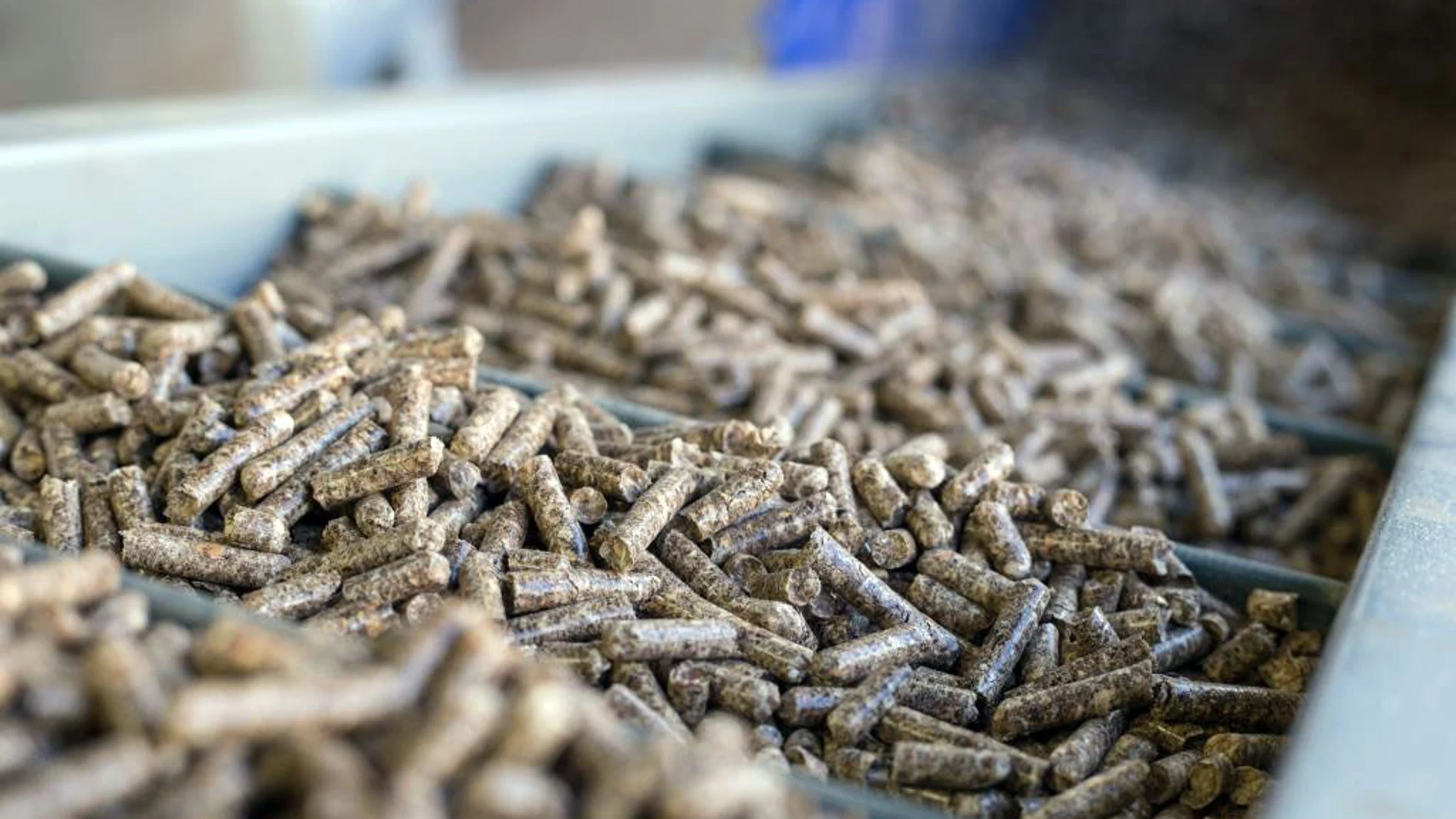 Producción de pellets en Castilla y León