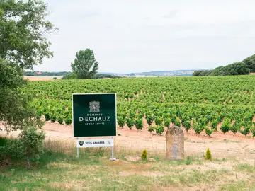 Premio IWC 2025 a Mejor Iniciativa de Responsabilidad Social y Ambiental a Vitis Navarra por Dominio D’Echauz Premio IWC 2025 a Mejor Iniciativa de Responsabilidad Social y Ambiental a Vitis Navarra por Dominio D’Echauz