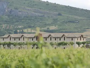 Edificio de la bodega antigua (1840) y viñedo Edificio de la bodega antigua (1840) y viñedo