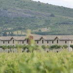 Edificio de la bodega antigua (1840) y vi&ntilde;edo