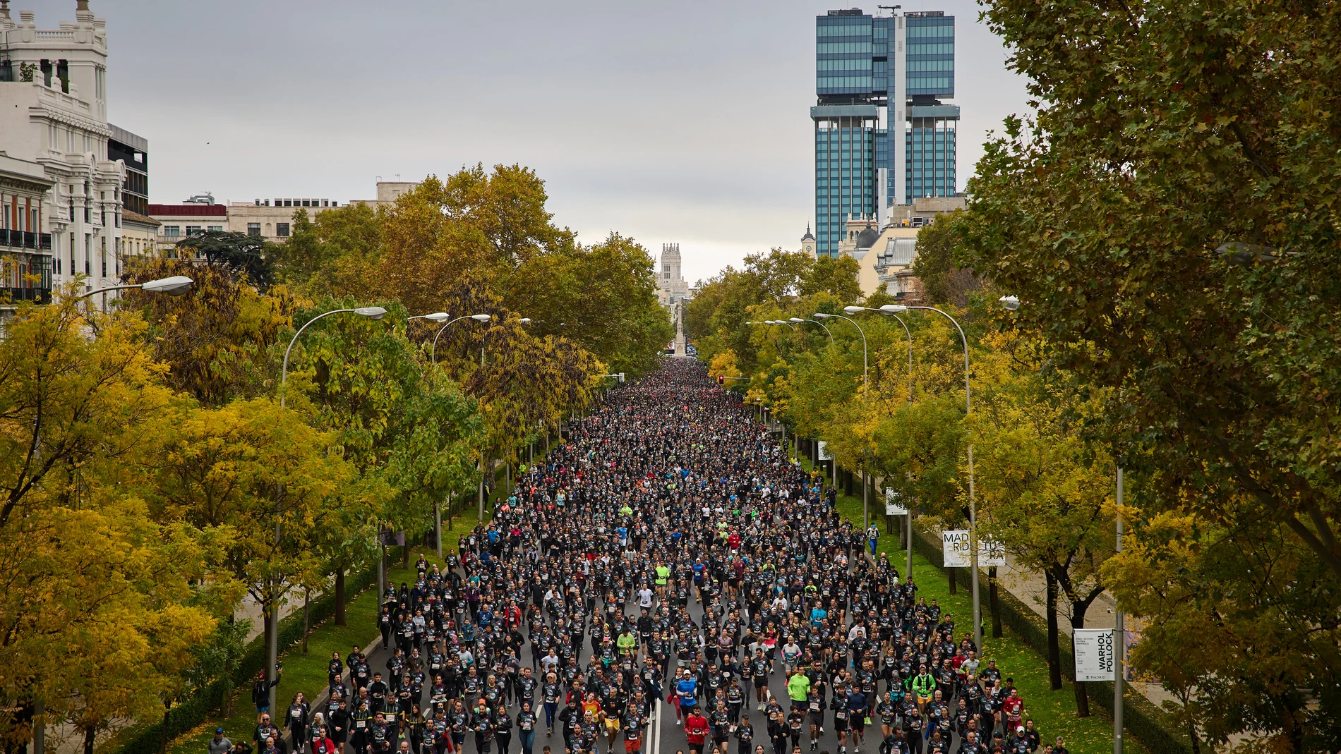 Madrid acoge este 16 de noviembre la 17.ª edición de la Carrera Ponle Freno, impulsada por Atresmedia y Fundación AXA, que reunirá a miles de corredores con el objetivo de recaudar fondos para las víctimas de accidentes de tráfico y superar los récords de participación y recaudación de años anteriores. © Alberto R. Roldán / Diario La Razón 16 11 2025