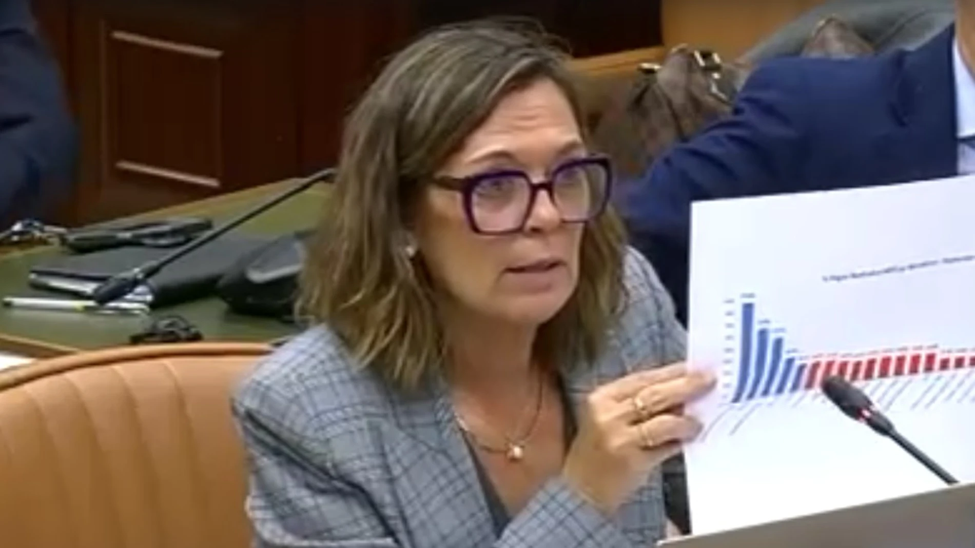 Mila Marcos interviene en la Comisión