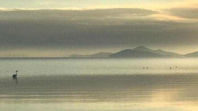 MURCIA.-Descubren una nueva fuente de mercurio "hasta ahora ignorada" en la laguna del Mar Menor en Murcia