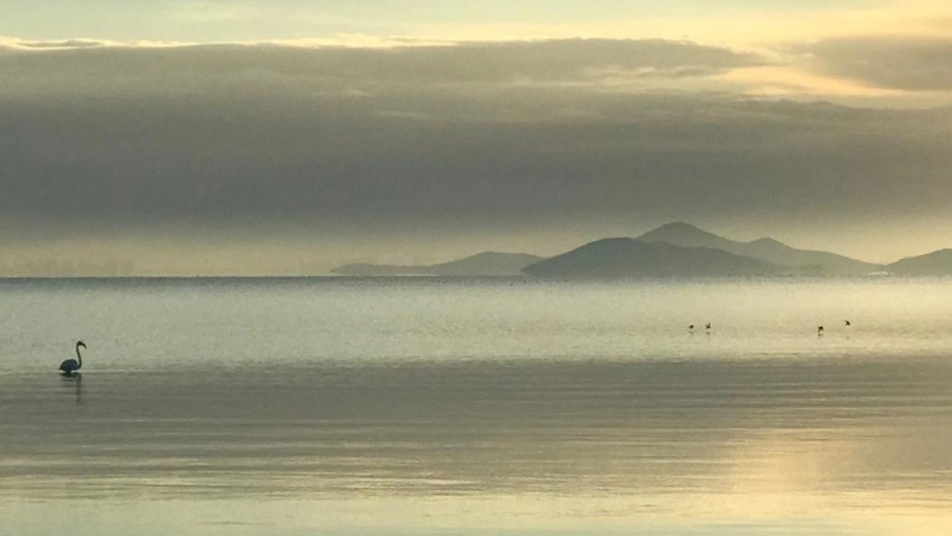 MURCIA.-Descubren una nueva fuente de mercurio "hasta ahora ignorada" en la laguna del Mar Menor en Murcia
