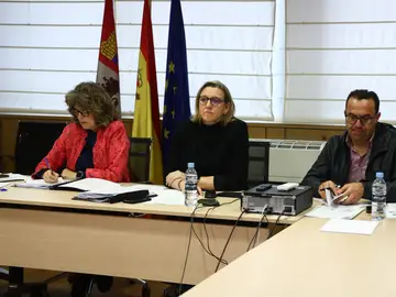 Isabel Blanco participa por videoconferencia en la Conferencia Sectorial de Igualdad Isabel Blanco participa por videoconferencia en la Conferencia Sectorial de Igualdad