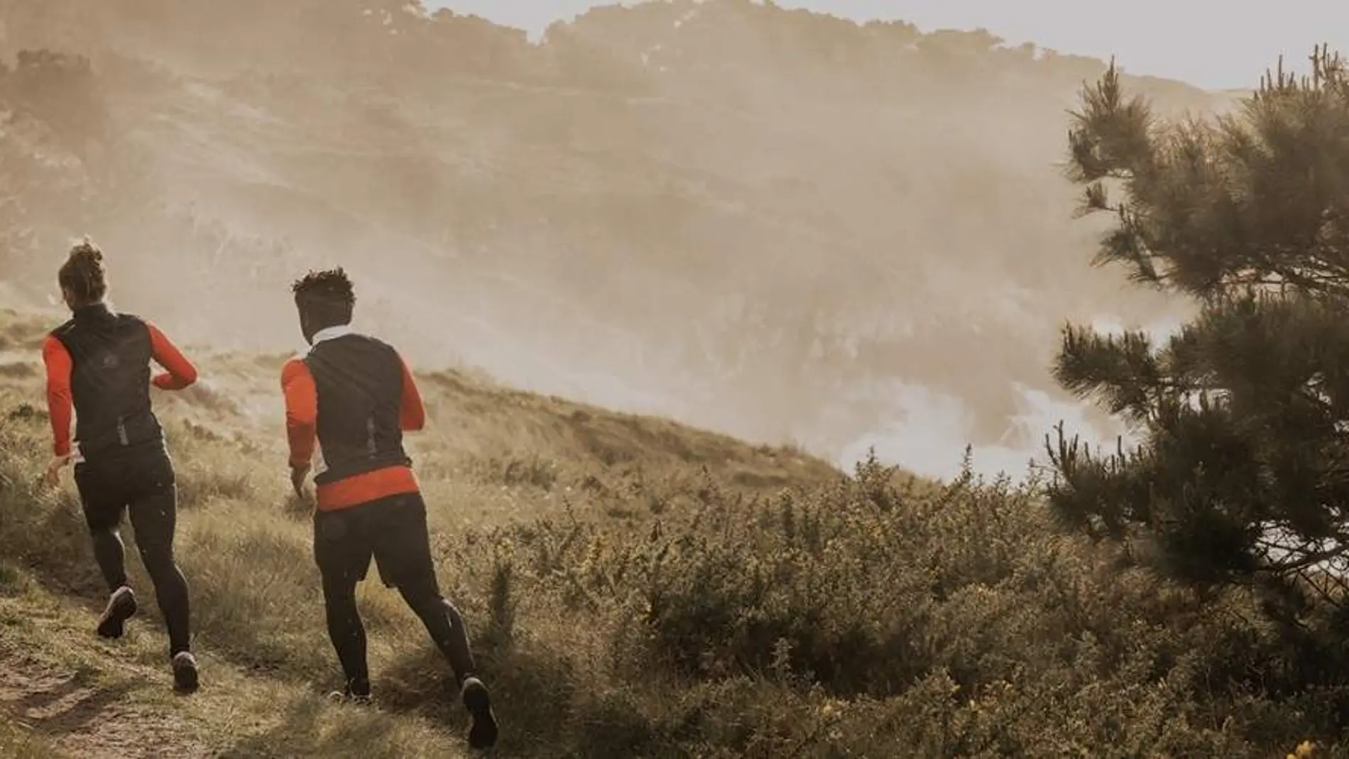 Salomon XA Pro 3D GTX