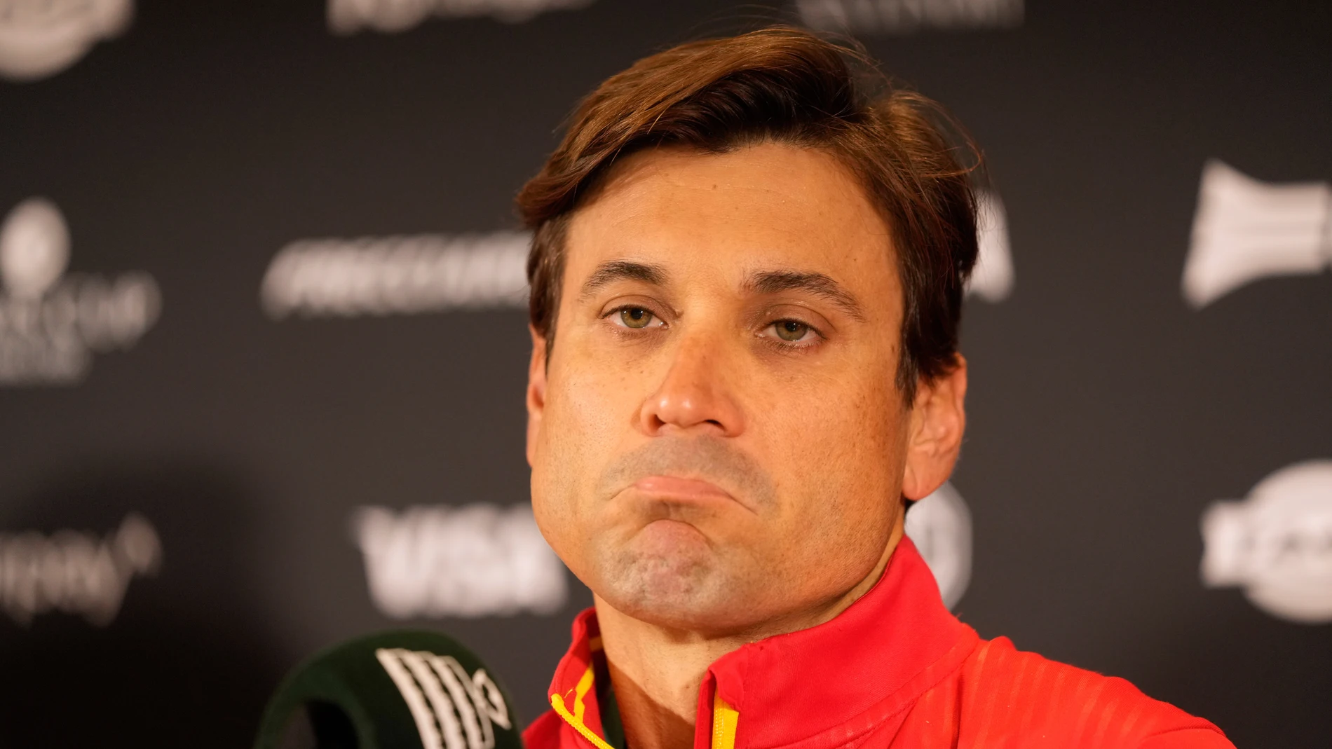 David Ferrer, capitán de España