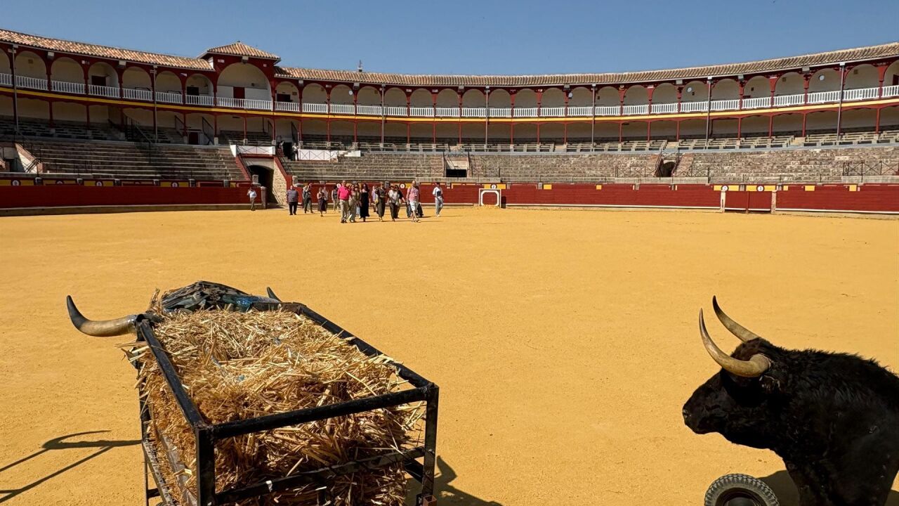 Castilla-La Mancha aprueba una medida clave para asegurar el futuro de ...