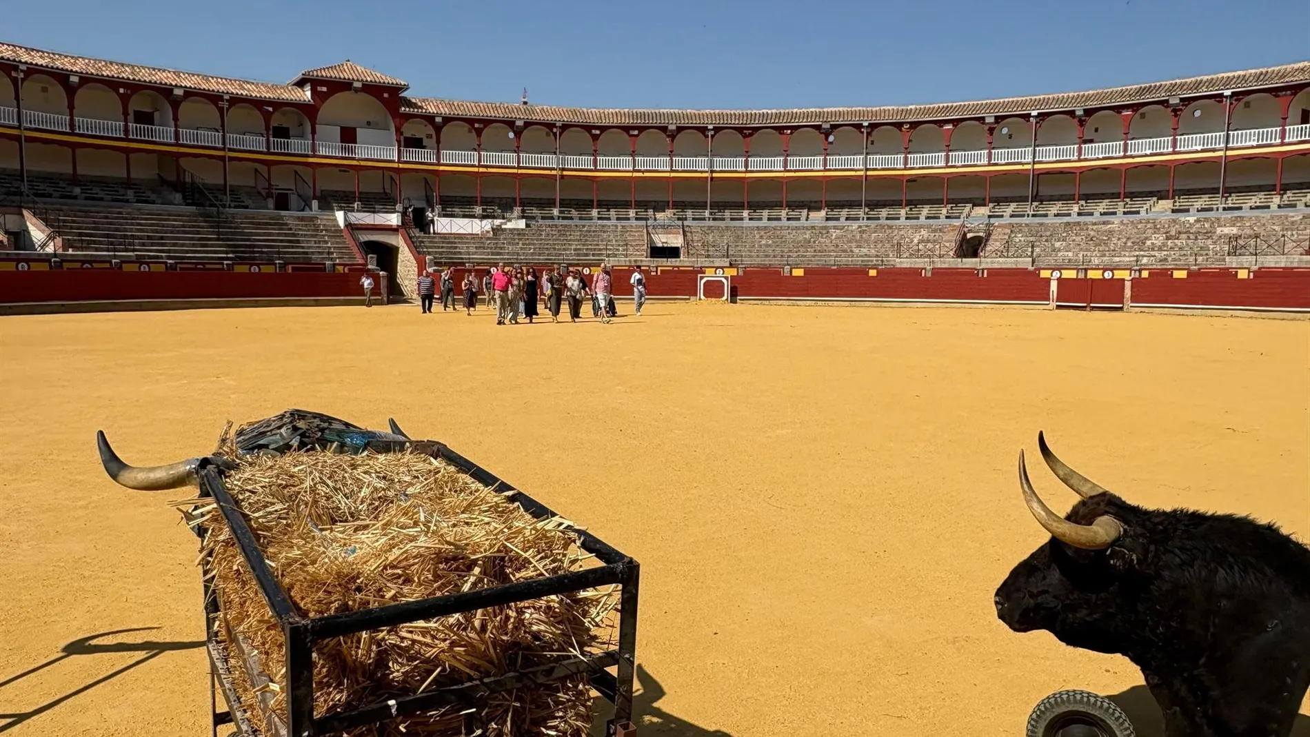 Castilla-La Mancha aprueba este martes el decreto por el que se crea el Consejo Asesor de Asuntos Taurinos de la región