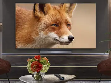 LG OLED48C54LA LG OLED48C54LA