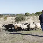 Uno de los proyectos consiste en ver los efectos del pastoreo sobre el suelo y la flora