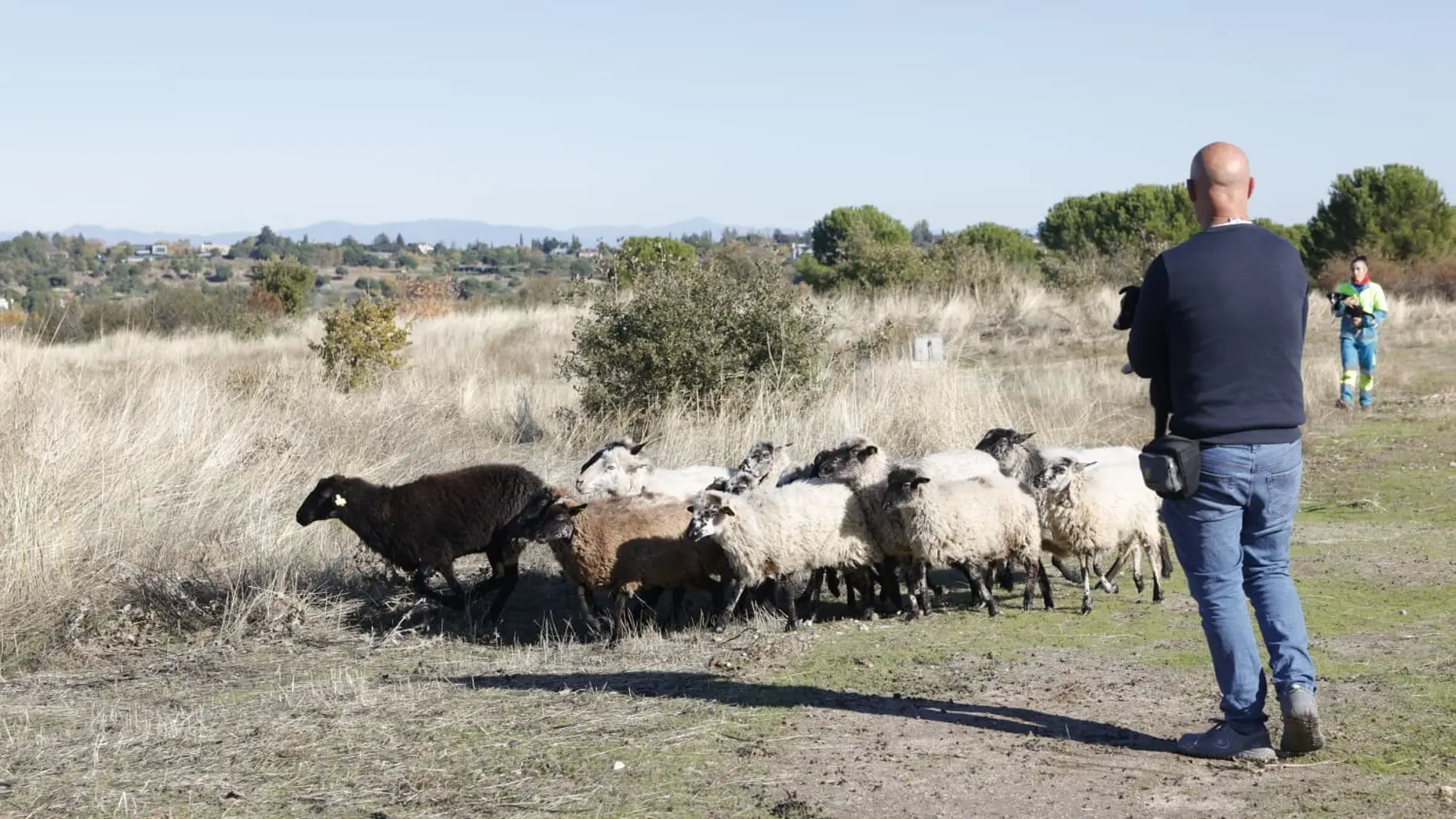 Uno de los proyectos consiste en ver los efectos del pastoreo sobre el suelo y la flora