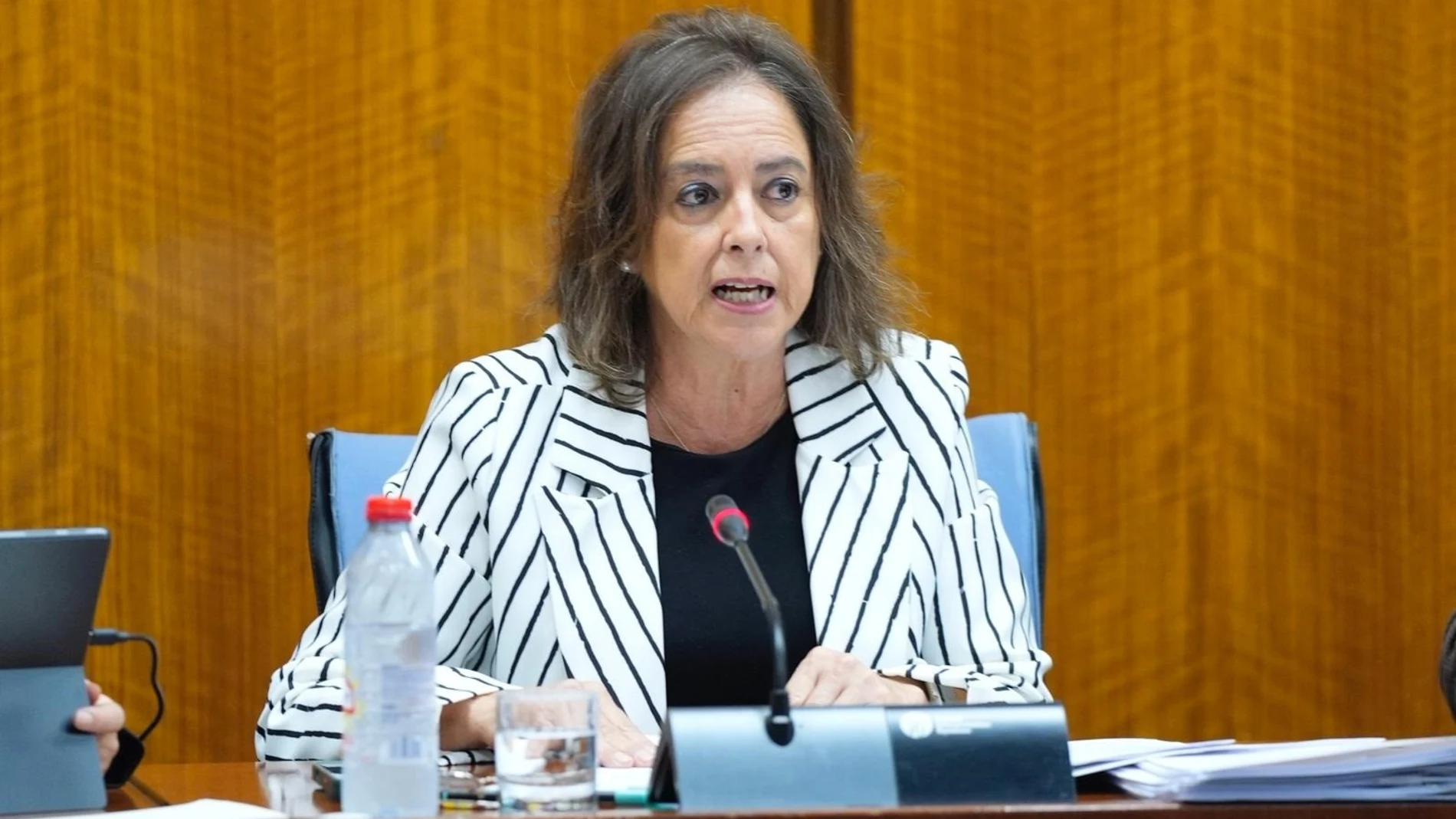 La consejera de Sostenibilidad, Catalina García, en la comisión parlamentaria del 18 de noviembre de 2025.REMITIDA / HANDOUT por JOAQUIN CORCHERO / PARLAMENTO DE ANDALUCIAFotografía remitida a medios de comunicación exclusivamente para ilustrar la noticia a la que hace referencia la imagen, y citando la procedencia de la imagen en la firma18/11/2025