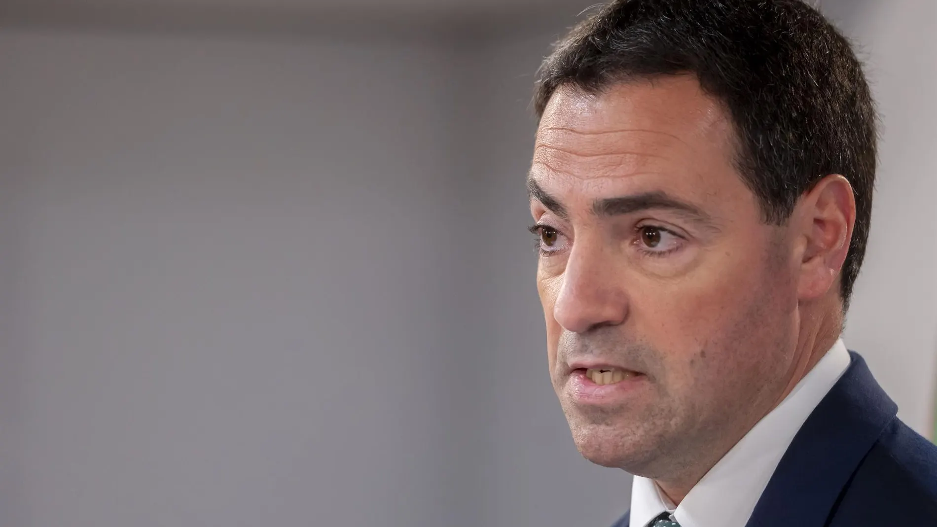 Pradales defiende una UE más fuerte y unida y codecisión "a todos los niveles" porque no puede ser "un club de estados"