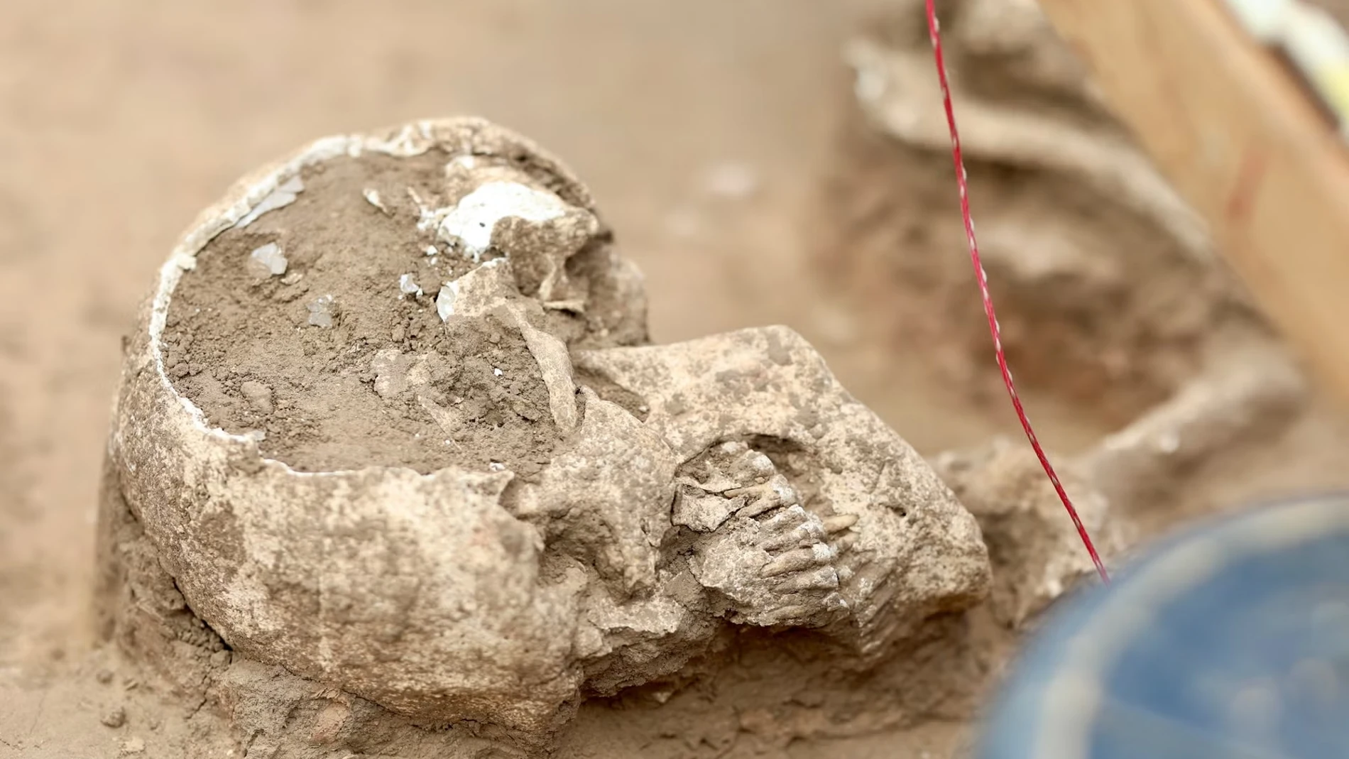 Encuentran el cadáver de cuarenta legionarios romanos cerca de Roma: su muerte fue atroz