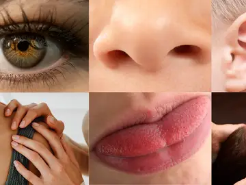 Adiós a los cinco sentidos: un experimento descubre que los humanos tenemos un 'séptimo sentido' que no aprovechamos Adiós a los cinco sentidos: un experimento descubre que los humanos tenemos un 'séptimo sentido' que no aprovechamos