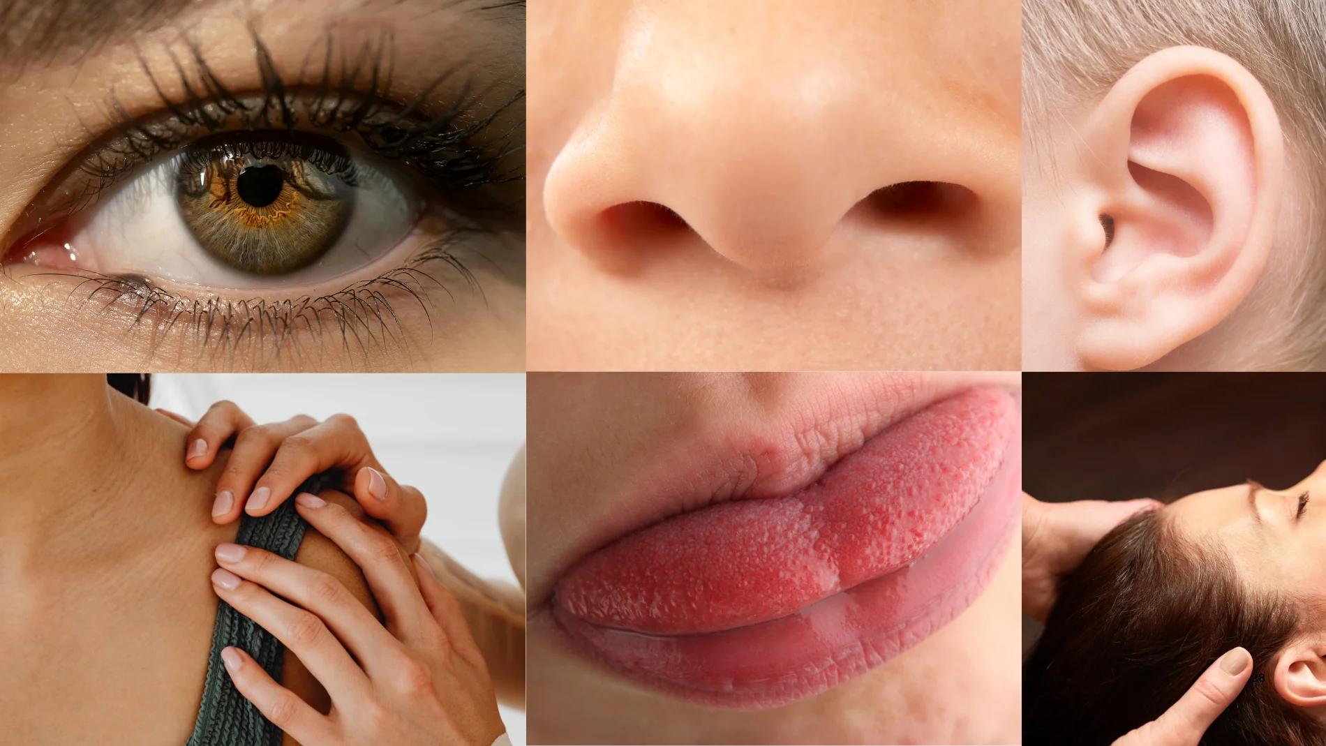 Adiós a los cinco sentidos: un experimento descubre que los humanos tenemos un 'séptimo sentido' que no aprovechamos