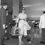 Audrey Hepburn en la escena de una película.