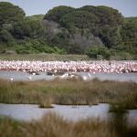 Gobierno y Junta se comprometieron a invertir 1.400 millones de euros en ayudas