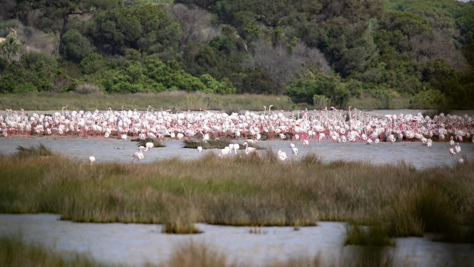 Gobierno y Junta se comprometieron a invertir 1.400 millones de euros en ayudas