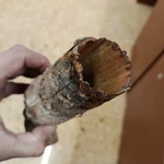 Valencia.- Familias del IES Campanar denuncian la situación "angustiosa" del centro: "El edificio pide socorro"