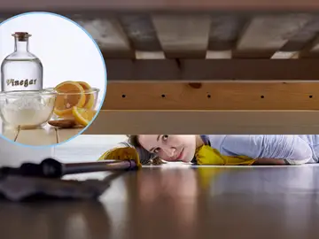 Hay que rociar vinagre debajo de tu cama: Descubre por qué y para que sirve Hay que rociar vinagre debajo de tu cama: Descubre por qué y para que sirve