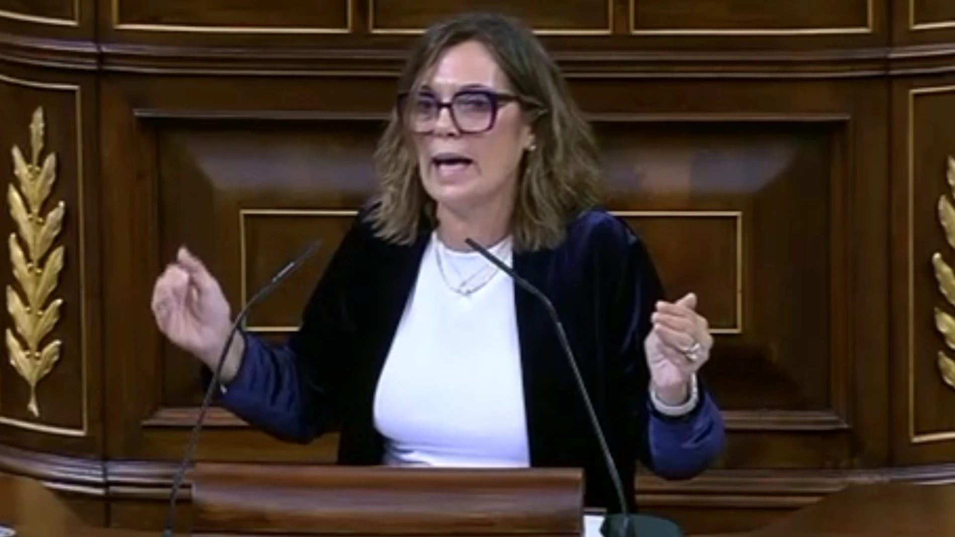 Milagros Marcos interviene en el Congreso de los Diputados