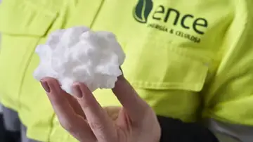 Ence inicia la homologación de su primera línea de producción de celulosa fluff en la biofábrica de Navia Ence inicia la homologación de su primera línea de producción de celulosa fluff en la biofábrica de Navia