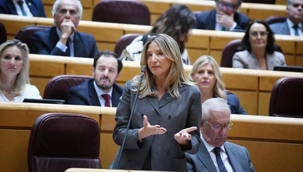 AMP.-El PP comienza a tramitar en el Senado un cambio en el Código Penal para legalizar el corte de suministros a okupas