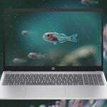 Por sus características, el HP 15-fc0240ns es perfecto para teletrabajar Por sus características, el HP 15-fc0240ns es perfecto para teletrabajar