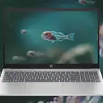 Por sus características, el HP 15-fc0240ns es perfecto para teletrabajar