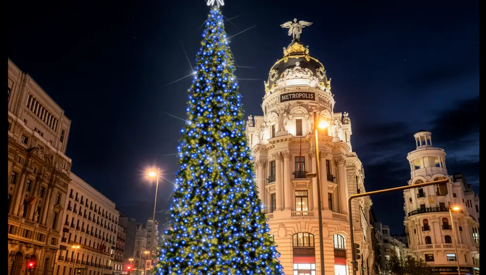 Un nuevo abeto lucirá frente al edificio Metrópolis