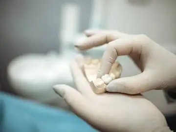 ¿El fin de los implantes dentales? Japón prueba un fármaco que promete hacer crecer dientes nuevos ¿El fin de los implantes dentales? Japón prueba un fármaco que promete hacer crecer dientes nuevos