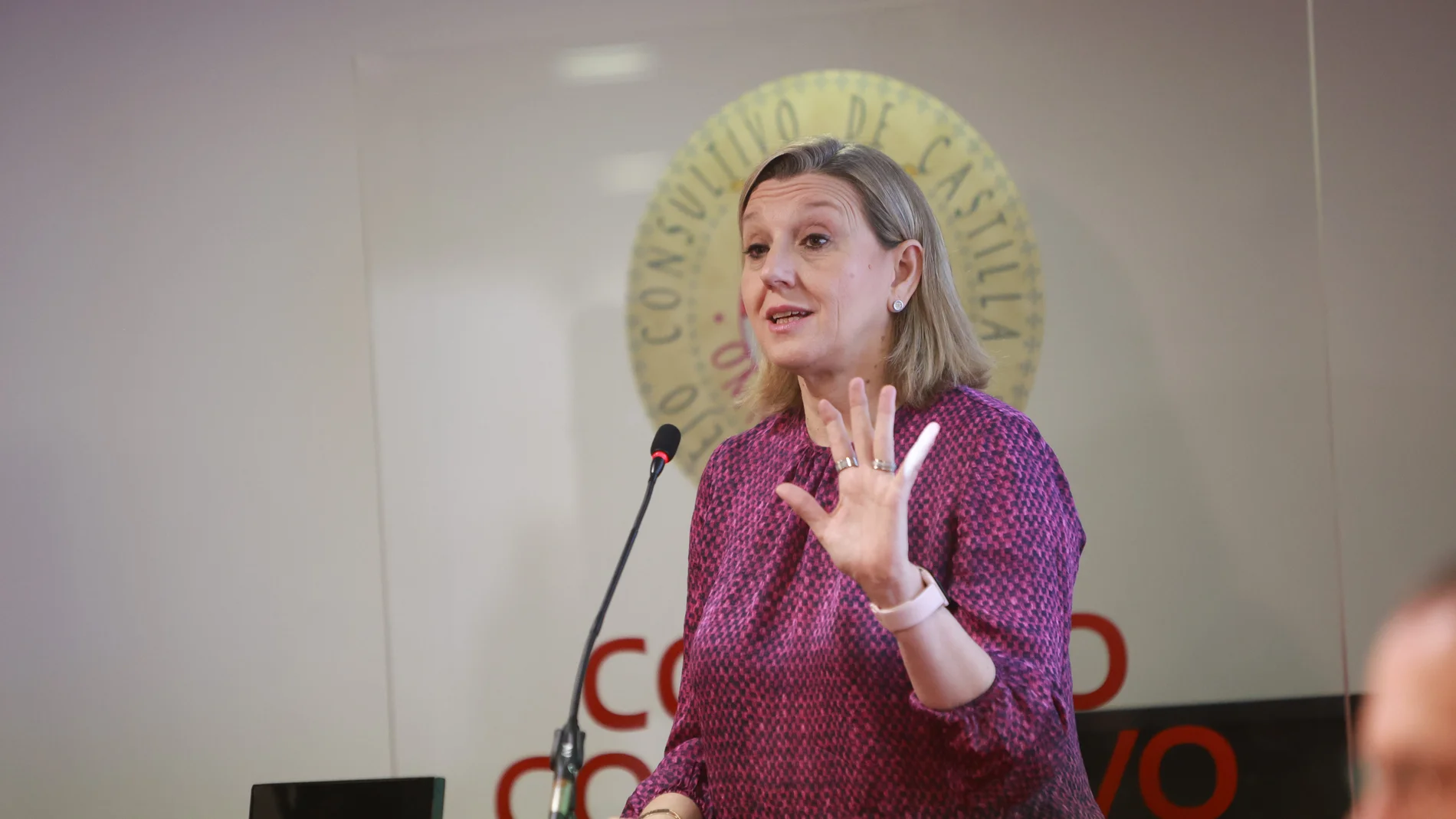 La vicepresidenta de la Junta de Castilla y León y consejera de Familia e Igualdad de Oportunidades, Isabel Blanco, inaugura el I Congreso regional 'Violencia de género: prevenir, intervenir y restaurar', organizado por el Colegio Oficial de Psicología de Castilla y León