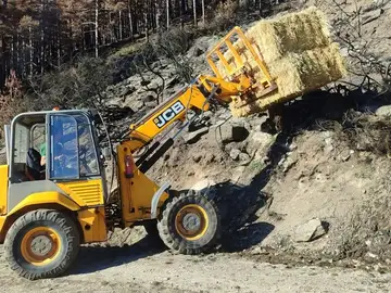 Trabajos en las zonas afectadas por los incendios forestas del verano Trabajos en las zonas afectadas por los incendios forestas del verano