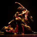 El coreógrafo, bailarín y director Mario Bermúdez invita al espectador a navegar en un viaje sensorial entre la comunidad y el individuo