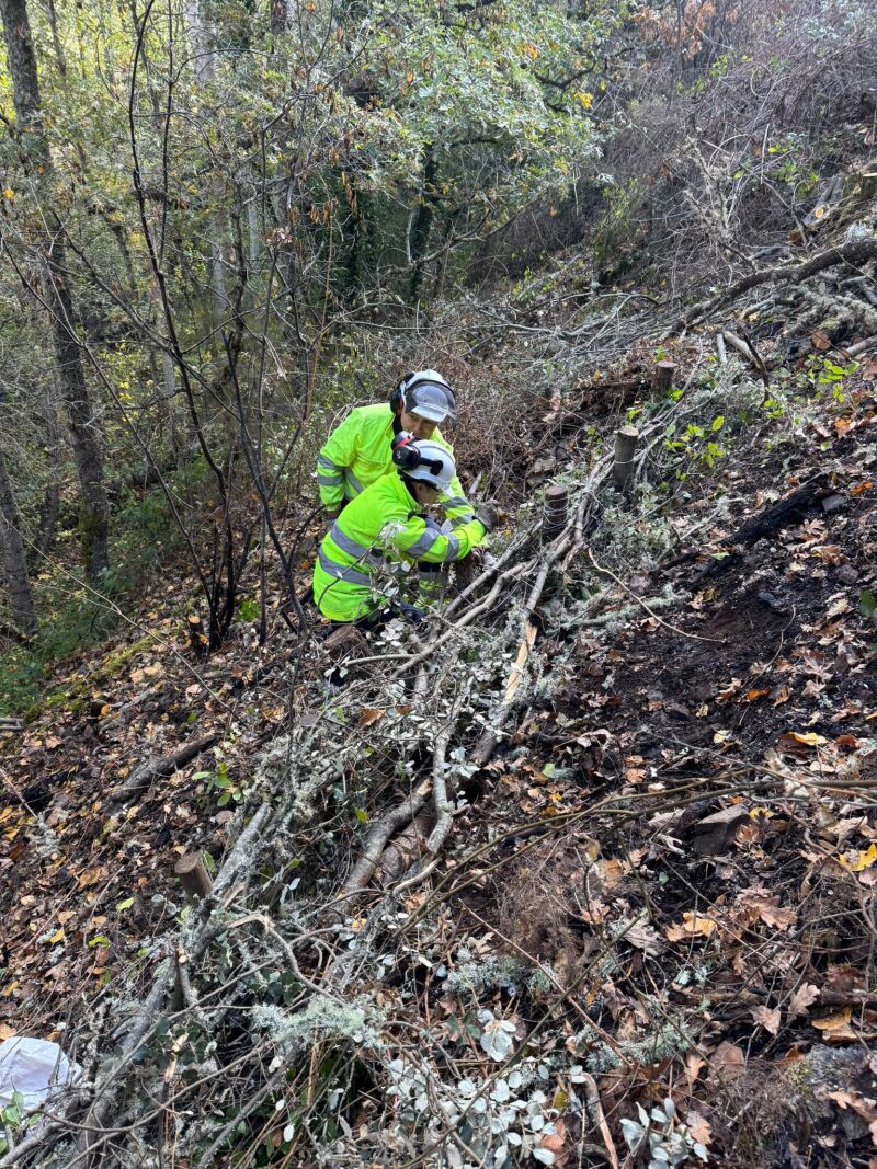 Actuaciones realizadas en las zonas de los incendios
