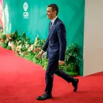 G20 Leaders' Summit in South Africa