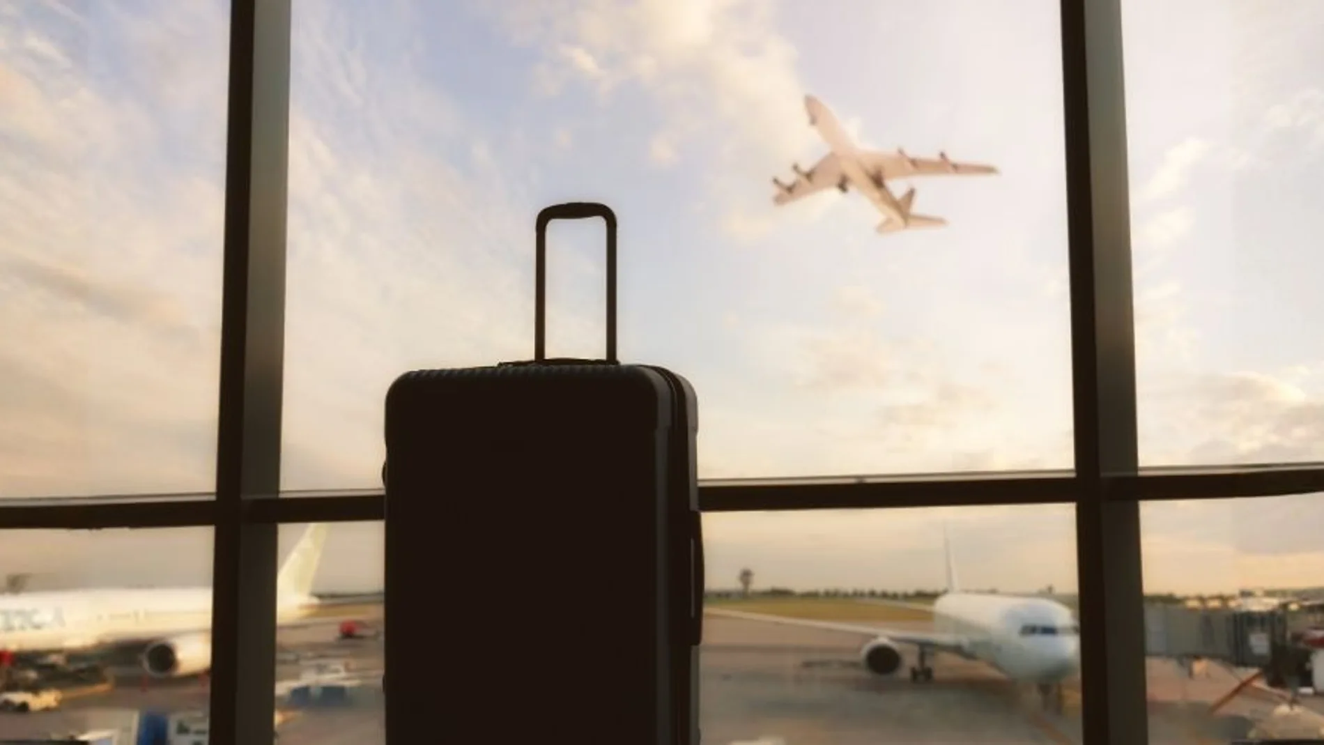 Las 3 maletas que todo el mundo está comprando