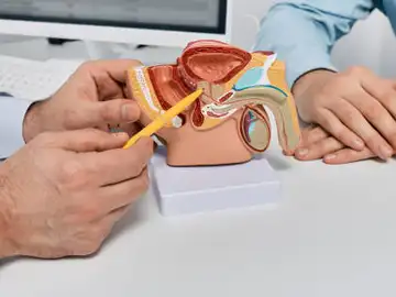 El nuevo tratamiento que logra resultados prometedores contra la disfunción eréctil El nuevo tratamiento que logra resultados prometedores contra la disfunción eréctil